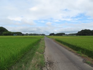 田の道