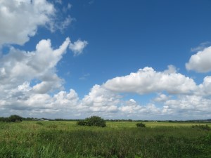 そろそろ秋の空